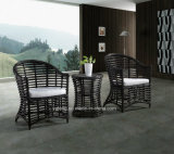 Popular Design Wicker Furniture Outdoor Garden Dining Set with Table and Chairs (YT615)