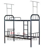 Modern Latest Design Cheap Metal Bunk Bed of School and Bedroom Furniture