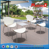 Butterfly Shaped Staineless Steel Rattan Garden Chair for Patio