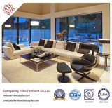 Concise Hotel Furniture for Living Room with Furniture Set (YB-B-20)