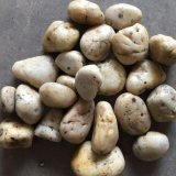 2-3cm White Polished B Natural Cobble &Pebble Stone (SMC-PW047)