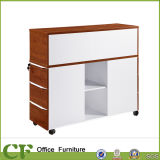 New- 899 Series File Cabinet (CF-S89901)