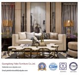 Modern Hotel Furniture for Delicate Living Room Sofa (YB-NC)