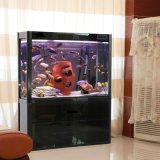 Qcy Factory Direct Prices Large Acrylic Aquarium/High Fish Tank Cabinet