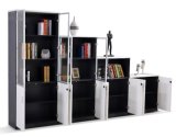 Customized Storage Cabinets with Locking Doors and Adjustable Shelves