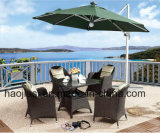 Outdoor /Rattan / Garden / Patio / Hotel Furniture Rattan Chair & Table Set (HS 1106C & HS 7207DT)