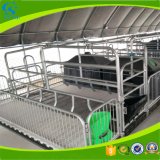 Farming Galvanized Pig Nursery Crates Sow Bed