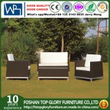 Modern Outdoor Rattan/Wicker Sofa Leisure Garden Furniture (TG-JW77)