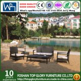 Outdoor Rattan Furniture Durable Used Patio Furniture Wicker Sectional Sofa (TG-JW49)