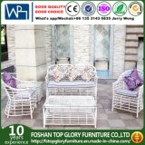 Outdoor Furniture with Flat PE Rattan Furniture Garden Sofa (TG-005)