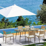 2017new Outdoor Furniture of Dining Chair