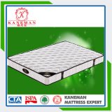 Hostel Mattress Best Price Continuous Spring Mattress Made in China