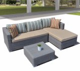 Luxury Outdoor Patio Wicker Garden Darwin Lounge Home Hotel Office Sofa Set (J029)