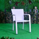Leisure Lounge Patio Garden Morden Office Home Hotel Aluminum Rattan Arm Chair (J3741W)