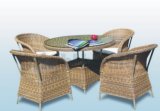 Garden Furniture- Outdoor Dining Set (BG-094)