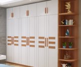 Hot Sale Home Furniture of Wardrobe (WD-1298)