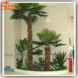 Artificial Palm Tree for Indoor Decoration