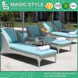 Hot Sale Lounge Leisure Lounge Chaise Lounge P. E Wicker Daybed