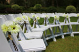 Resin Folding Chair for Wedding/Party/All Event