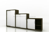 Office File Cabinet with Sliding Door (SPL-LASD035)