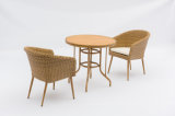 Rattan Furniture Bistro Chair & Table Set HS30356c& HS20108dt