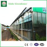 Float Glass Greenhouse with Climate Control System