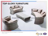New Design Sofa Set Rattan Furniture Outdoor Furniture Sofa (TG-039)
