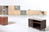 Modern Office Removable Cabinet (SZ-FC002)