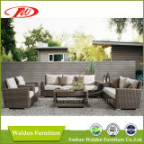 Rattan Furniture/ Outdoor Chair/Rattan Chair (DH-N9061)