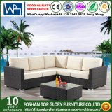 Rattan Wicker Sofa Dining Leisure Outdoor Furniture (TG-400)