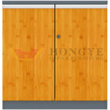 Office Bamboo Small Panel File Cabinet (HY-H60-0601)