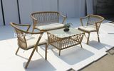 Environmental Protection Wicker Sofa Set/Garden Furniture (BP-8021)