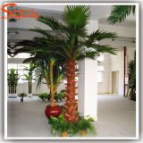 Indoor Decoration Fiber Glass Artificial Palm Tree