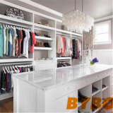 Modern Lacquer Wood Walk-in Closet