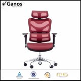 Foshan Office Manufacturer Hot Sale Chair with Adjustable Armrest