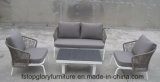 2018 New Design Belt Woven Outdoor Sofa Set Garden Furniture (TG-S196)