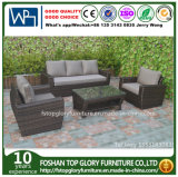 Viro Rattan Outdoor Sofa Furniture