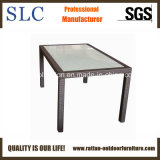 Rattan Table/Outdoor Furniture (SC-B1078-6)