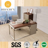 Popular New Style Computer Desk with Leather (WE04)