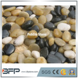 Landscaping River Stone Pebbles with White Black Beige