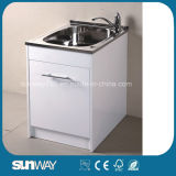 Hot Sale Sanitary Ware Stainless Steel Laundry Cabinet Sw-LC1205