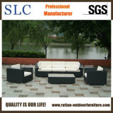Synthetic Wicker Furniture/Outdoor Furniture Set / Furniture (SC-B6018-F)