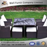 Well Furnir T-051 8 Seaters Space-Saving Rattan Cube Dining Set