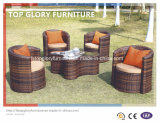 Vase Outdoor Furniture Liquidation Garden Sofa (TGBS-007)