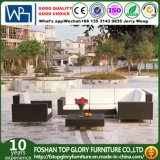 Rattan Furniture Outdoor Sofa (TG-JW39)