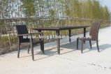 Rattan Furniture / Garden Furniture / Patio Furniture (BP-306)