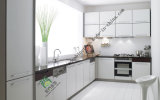 High Gloss with Lacquer Kitchen Cabinets Display (zs-214)