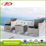 Patio Furniture, Rattan Chair, Leisure Chair (DH-9594)