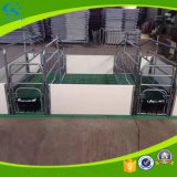 Galvanized PVC Board Pig Sow Crate Bed