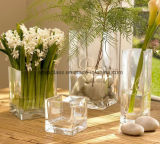 Square Transparent Decoration Glass Flower Vase